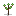 a sapling