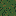 forest floor
